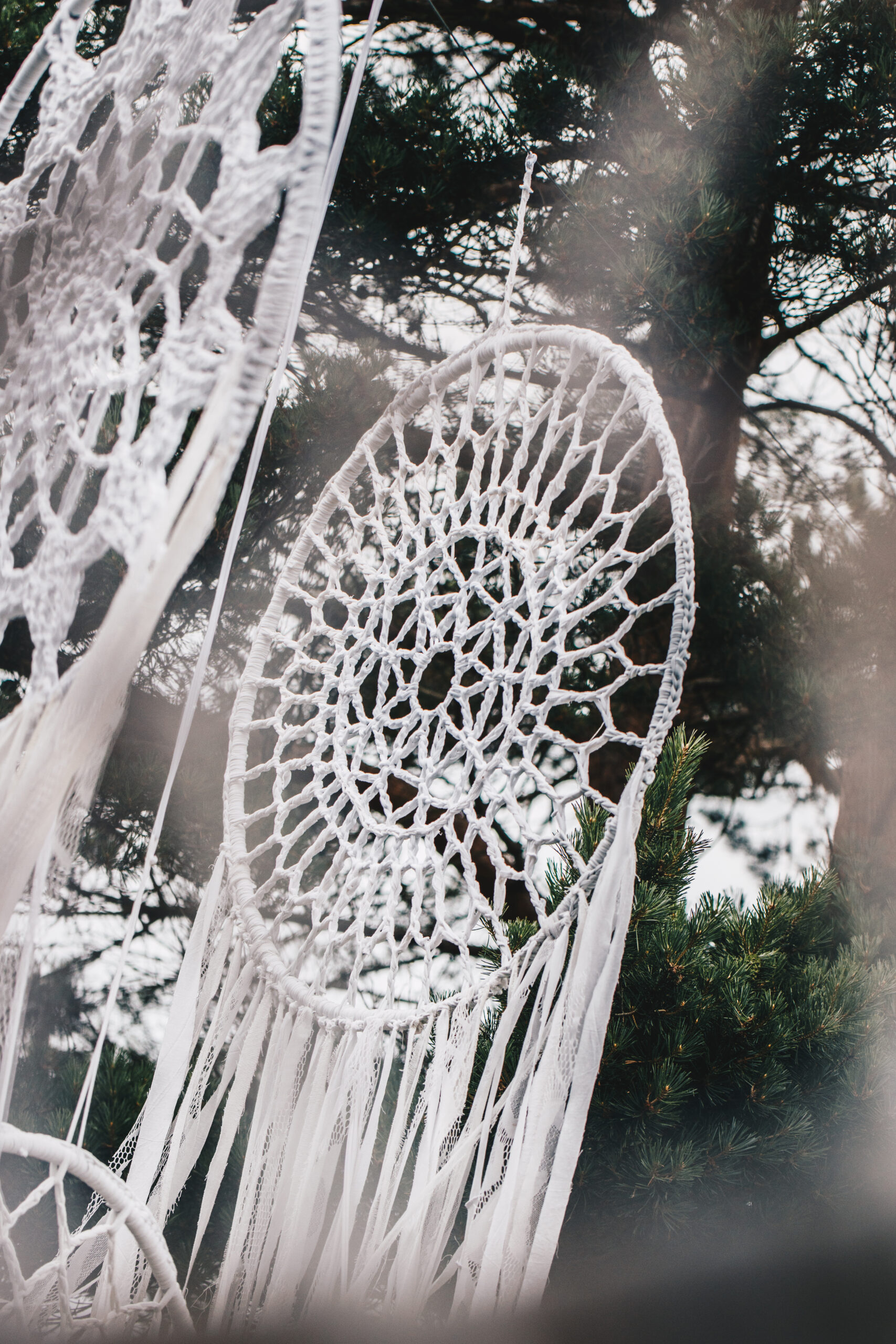 Unenäopüüdja suur