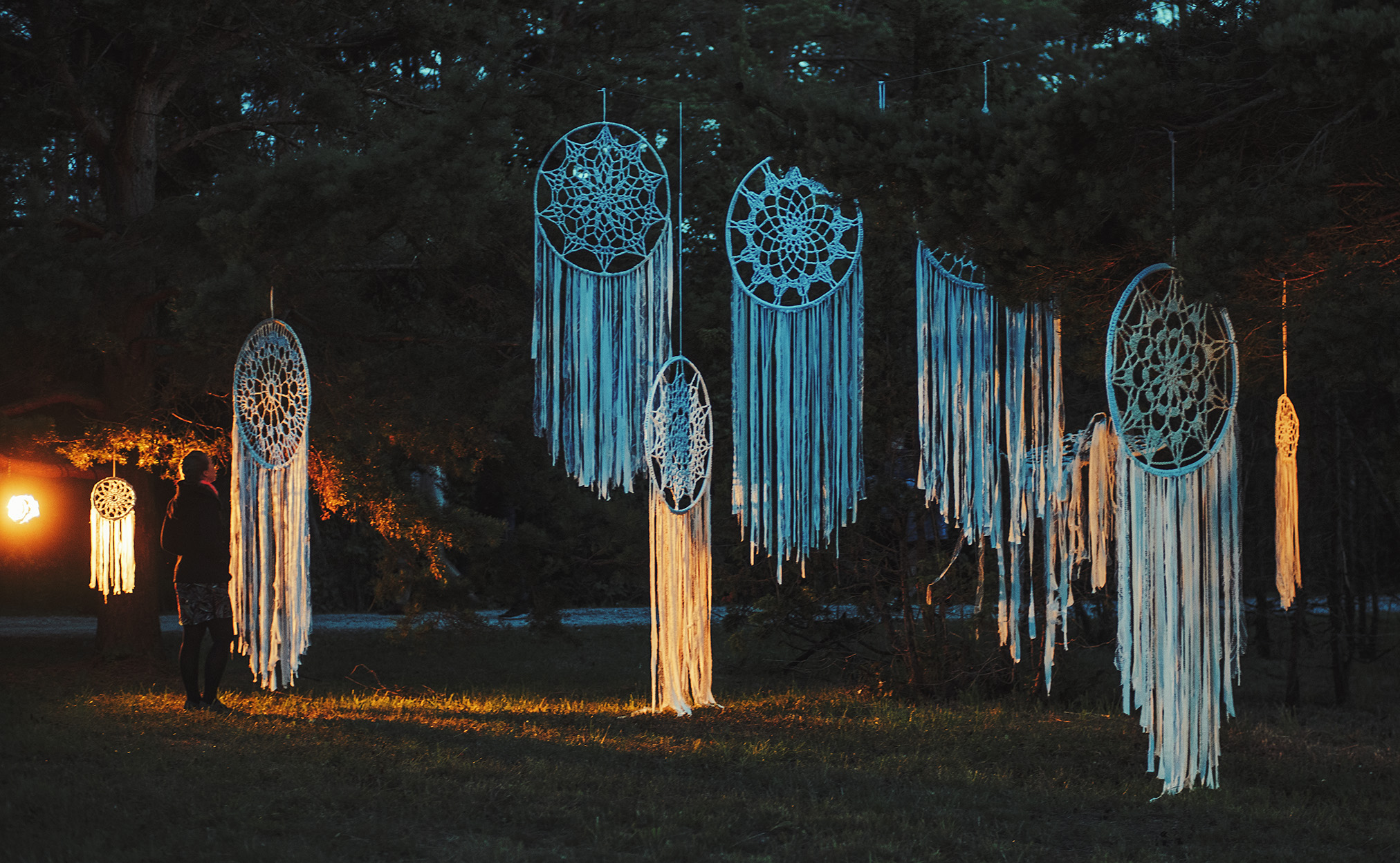 Unenäopüüdja suur - Image 4