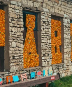 PARTY pardiralli dekoratsioon